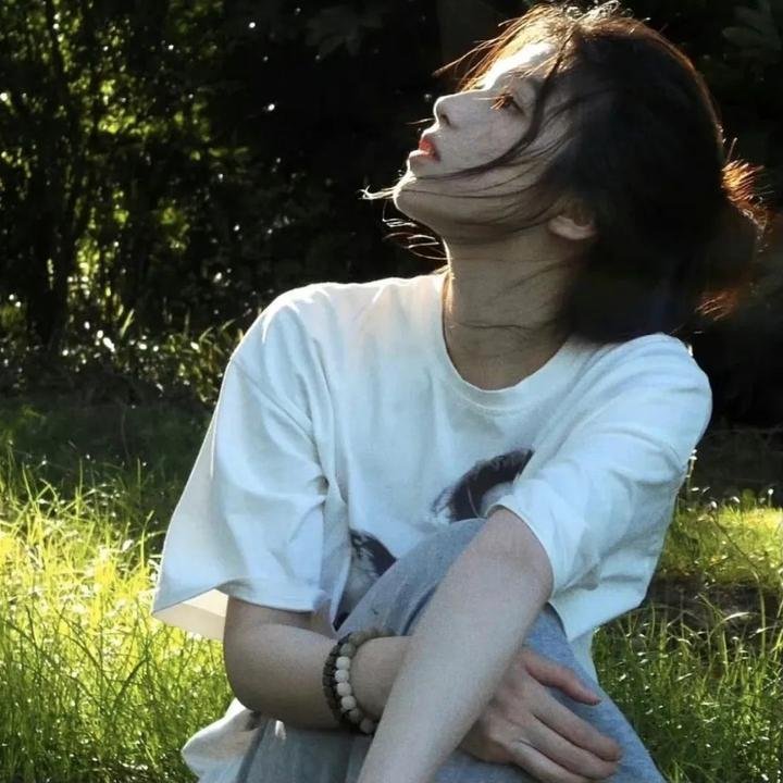 落日狂风沙